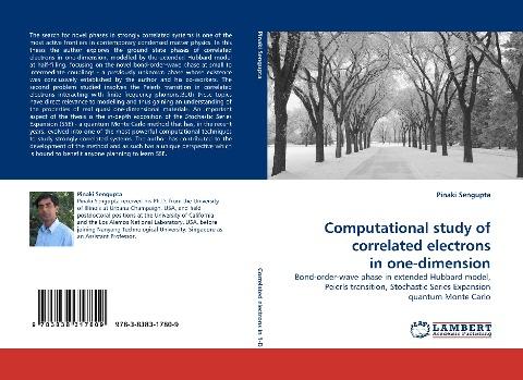 Computational study of correlated electrons in one-dimension