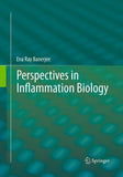 Perspectives in Inflammation Biology