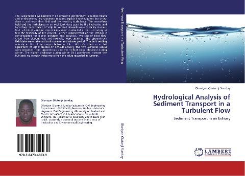 Hydrological Analysis of Sediment Transport in  a Turbulent Flow