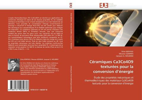 Céramiques Ca3Co4O9 texturées pour la conversion d'énergie