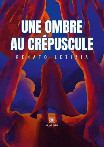 Une ombre au crépuscule