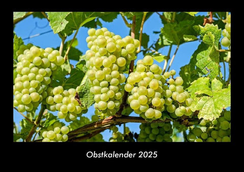 Obstkalender 2025 Fotokalender DIN A3