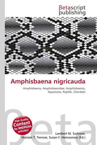 Amphisbaena nigricauda