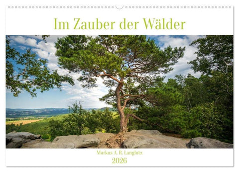 Im Zauber der Wälder (Wandkalender 2026 DIN A2 quer), CALVENDO Monatskalender