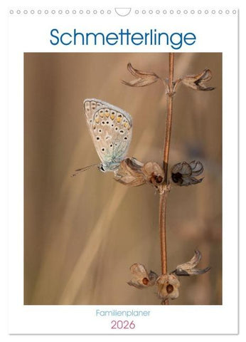Schmetterlinge in Bayern (Wandkalender 2026 DIN A3 hoch), CALVENDO Monatskalender