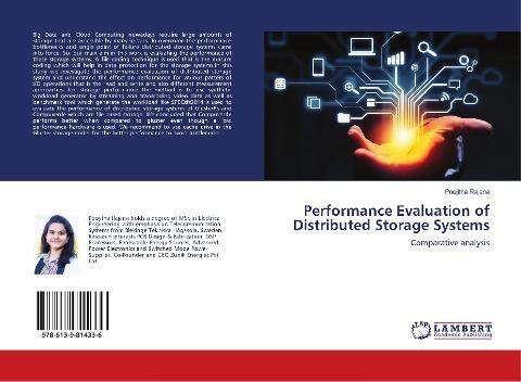 Performance Evaluation of Distributed Storage Systems