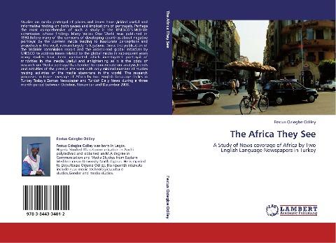 The Africa They See