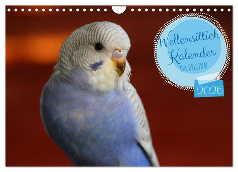 Wellensittichkalender! - Das Original (Wandkalender 2026 DIN A4 quer), CALVENDO Monatskalender