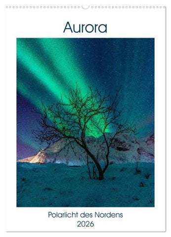 Aurora - Polarlicht des Nordens (Wandkalender 2026 DIN A2 hoch), CALVENDO Monatskalender