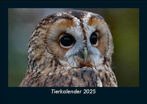 Tierkalender 2025 Fotokalender DIN A5