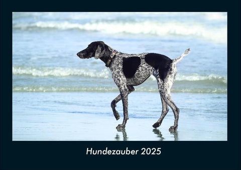 Hundezauber 2025 Fotokalender DIN A4