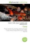 Carp