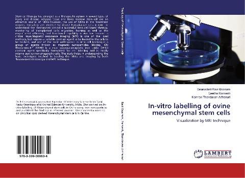 In-vitro labelling of ovine mesenchymal stem cells