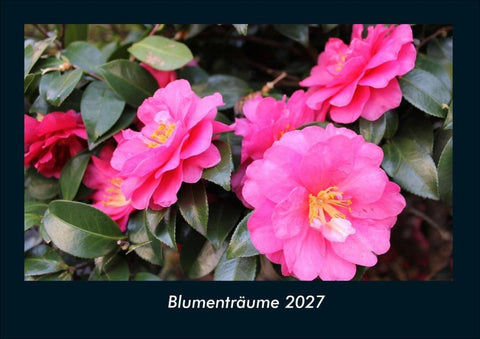 Blumenträume 2027 Fotokalender DIN A4