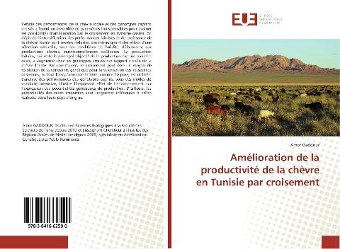 Amélioration de la productivité de la chèvre en Tunisie par croisement