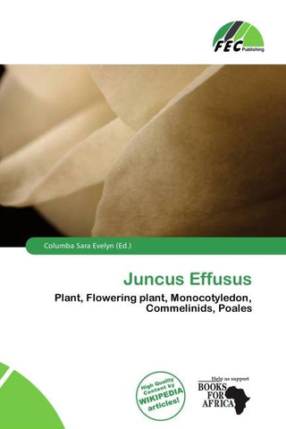 Juncus Effusus
