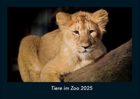 Tiere im Zoo 2025 Fotokalender DIN A4