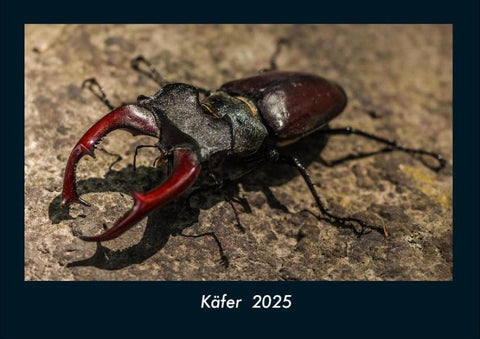 Käfer  2025 Fotokalender DIN A4