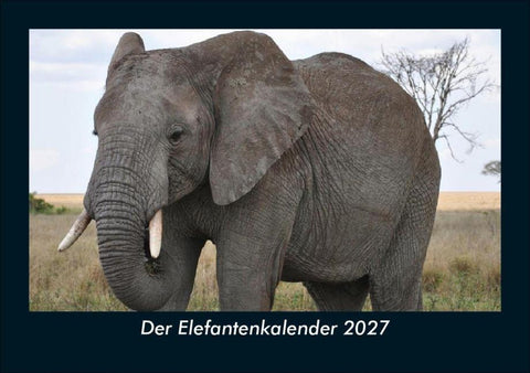 Der Elefantenkalender 2027 Fotokalender DIN A5
