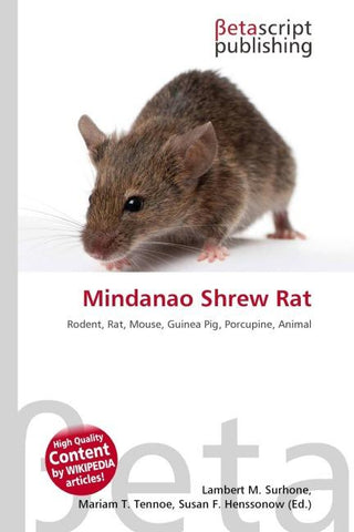 Mindanao Shrew Rat