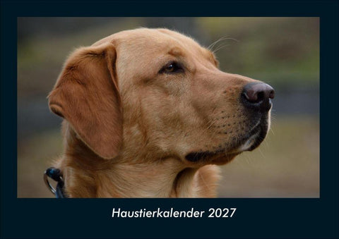 Haustierkalender 2027 Fotokalender DIN A4