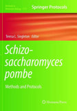 Schizosaccharomyces pombe