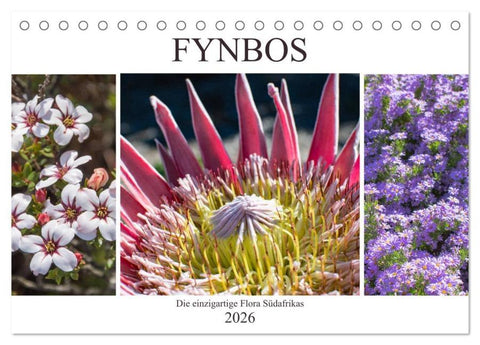 Fynbos - Die einzigartige Flora Südafrikas (Tischkalender 2026 DIN A5 quer), CALVENDO Monatskalender
