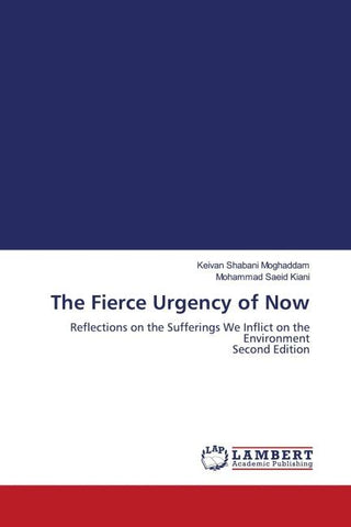 The Fierce Urgency of Now
