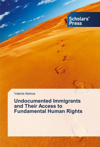 Undocumented Immigrants and Their Access to Fundamental Human Rights