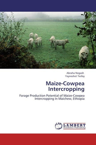 Maize-Cowpea Intercropping