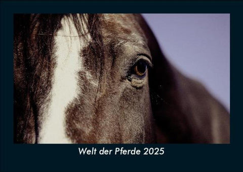 Welt der Pferde 2025 Fotokalender DIN A5