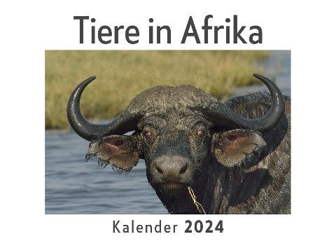 Tiere in Afrika (Wandkalender 2024, Kalender DIN A4 quer, Monatskalender im Querformat mit Kalendarium, Das perfekte Geschenk)