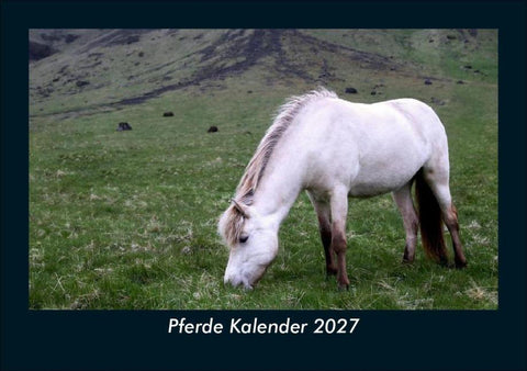 Pferde Kalender 2027 Fotokalender DIN A5