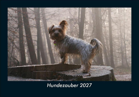 Hundezauber 2027 Fotokalender DIN A5