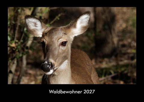 Waldbewohner 2027 Fotokalender DIN A3