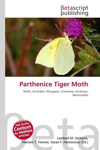 Parthenice Tiger Moth