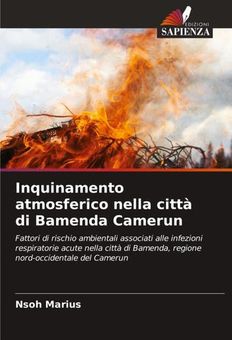 Inquinamento atmosferico nella città di Bamenda Camerun