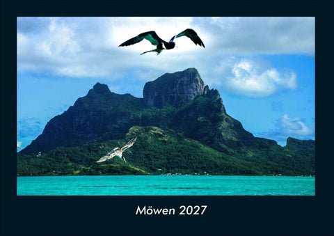 Möwen 2027 Fotokalender DIN A4