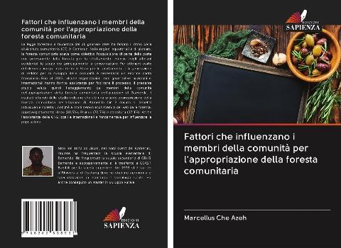 Fattori che influenzano i membri della comunità per l'appropriazione della foresta comunitaria