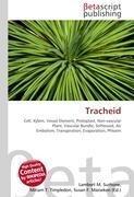 Tracheid