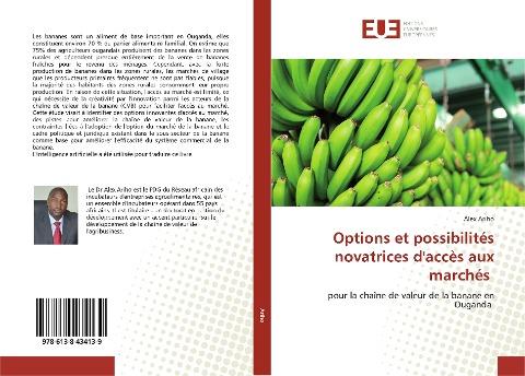 Options et possibilités novatrices d'accès aux marchés