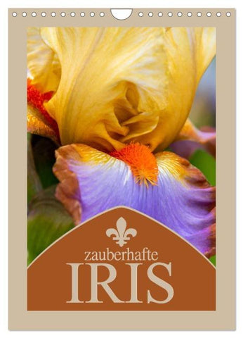Zauberhafte Iris (Wandkalender 2026 DIN A4 hoch), CALVENDO Monatskalender