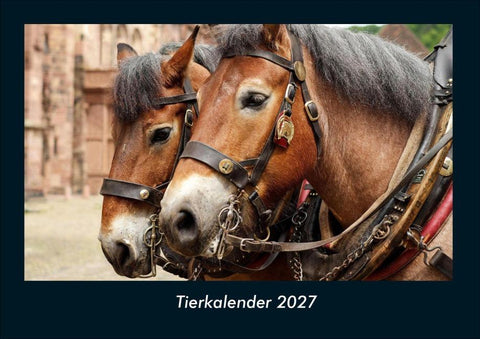 Tierkalender 2027 Fotokalender DIN A4