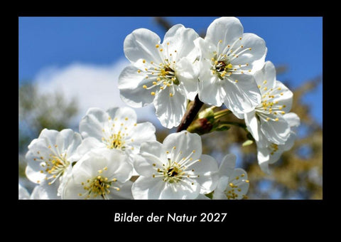 Bilder der Natur 2027 Fotokalender DIN A3