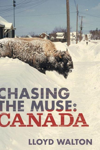 Chasing the Muse