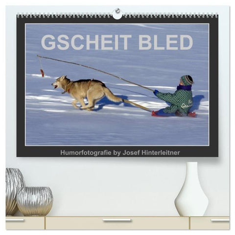GSCHEIT BLED - Humorfotografie (hochwertiger Premium Wandkalender 2026 DIN A2 quer), Kunstdruck in Hochglanz