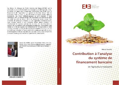 Contribution à l'analyse du système de financement bancaire