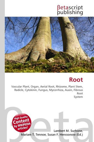 Root