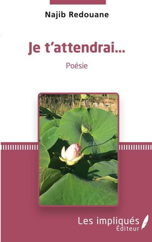 Je t'attendrai...