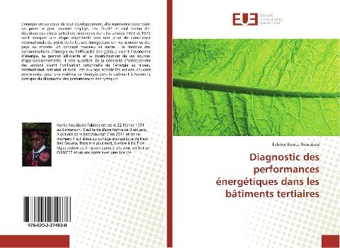 Diagnostic des performances énergétiques dans les bâtiments tertiaires